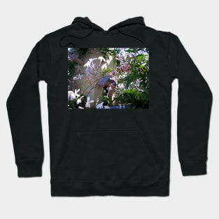 Fairy House Hoodie